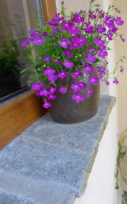 Gneis Rodopy 1-2 cm šedá